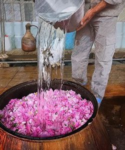 When-is-Kashan-rose-water-festival-1200x600